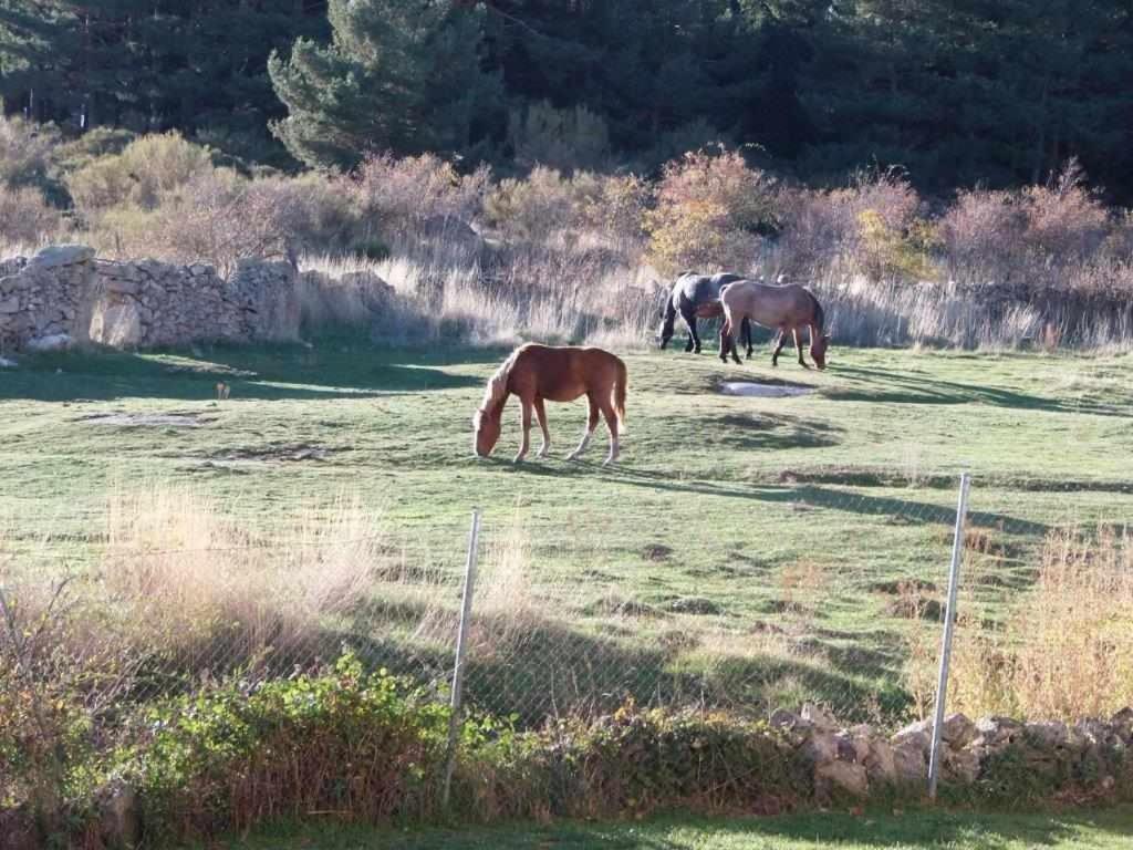 Casa Iona Chalet Adosado Con Vistas A La Montana Navarredonda de Gredos Bagian luar foto